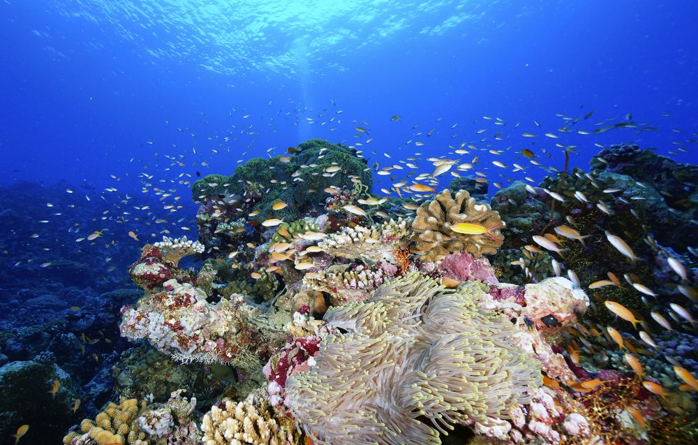 Photograph by Дмитрий Серебряков