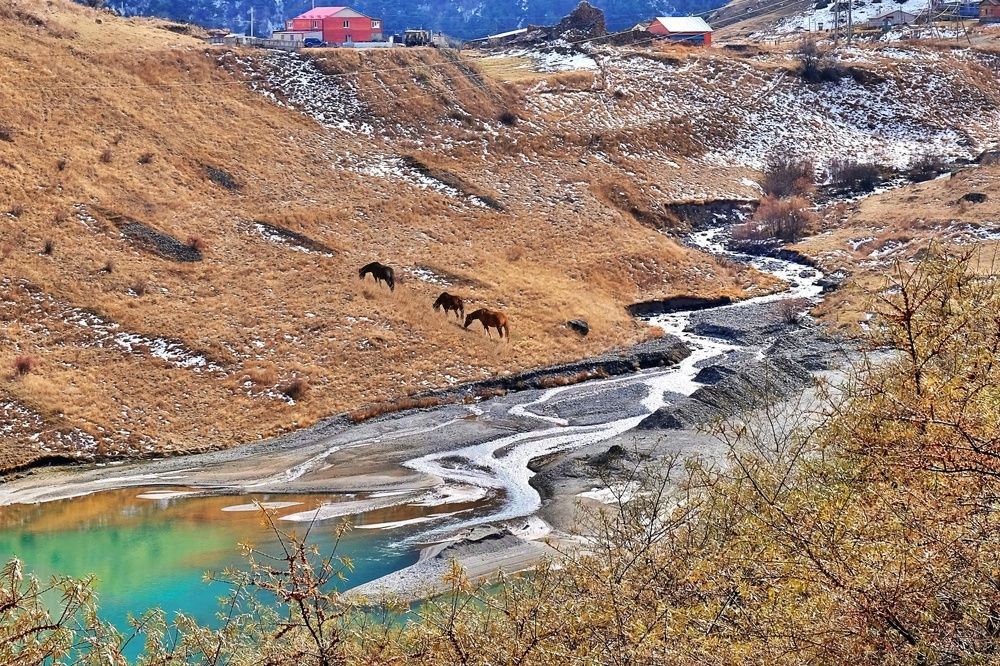 Извилистая речка