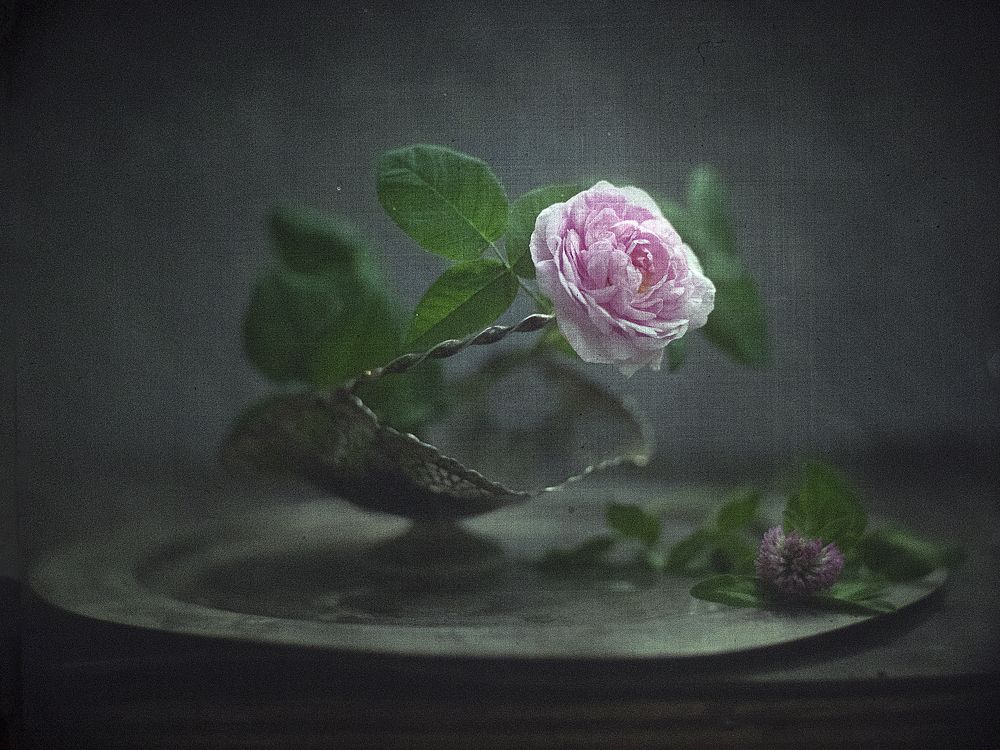 Photograph by Татьяна Аверина