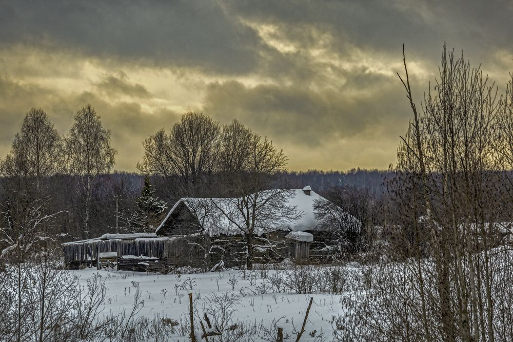 Фотография автора Александр Сальников