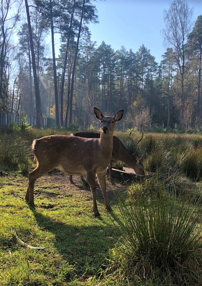 Photograph by Oksana