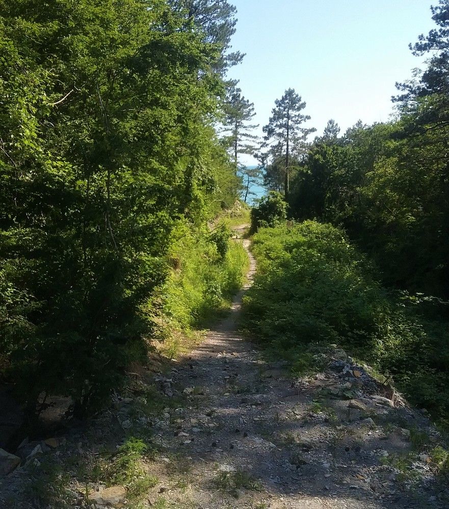 Photograph by Oksana