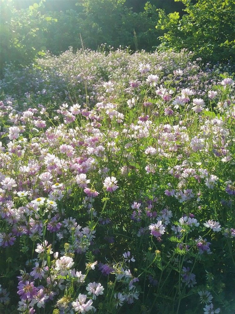 Photograph by Oksana