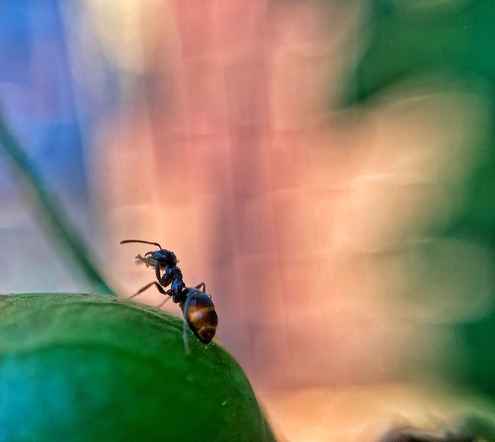 Photograph by Ирина Ивина