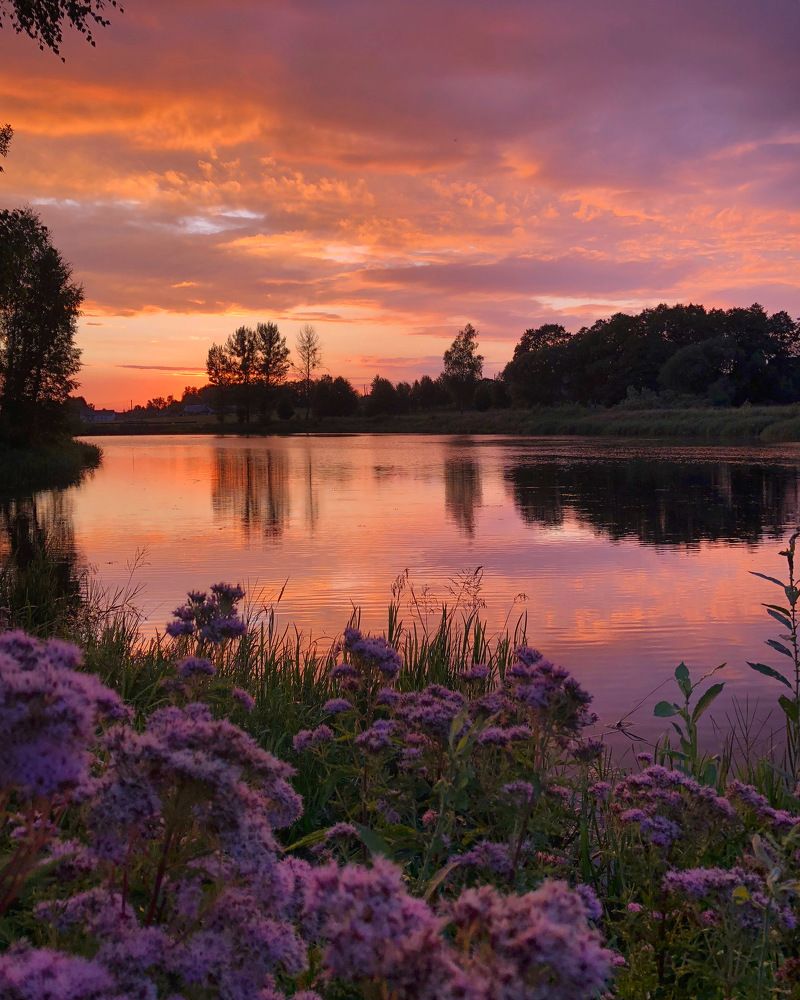 Photograph by Лариса