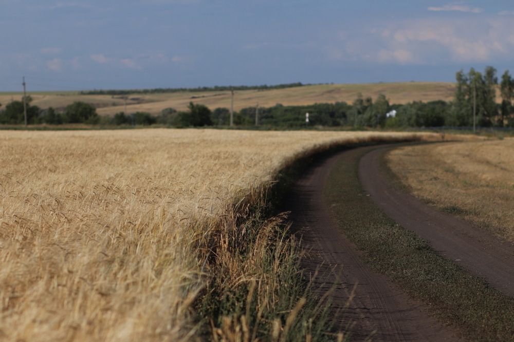 Photograph by Nadin Gaaze