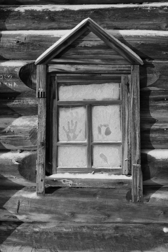 Photograph by Полина Зайцева