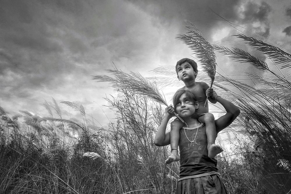 Фотография автора PRADIPTAMOY PAUL