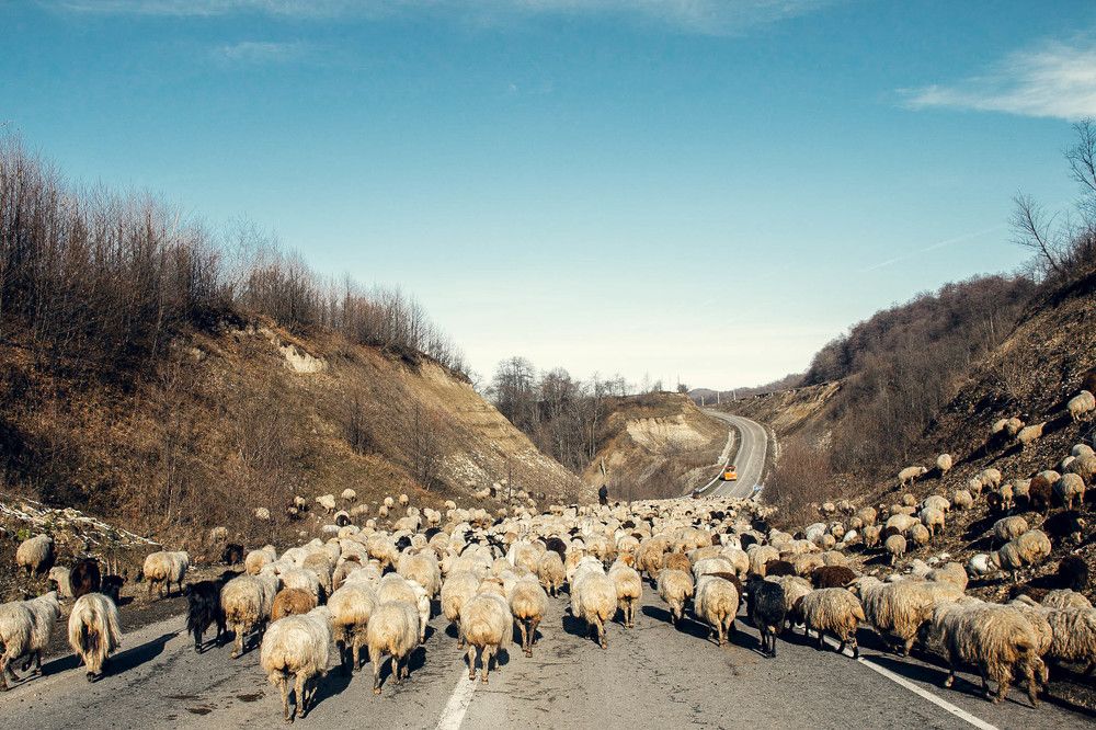 Photograph by Инна Кузьмичева