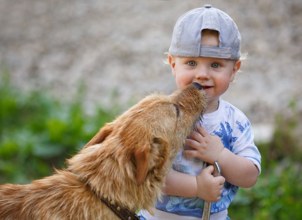 Photograph by Диана Александровна