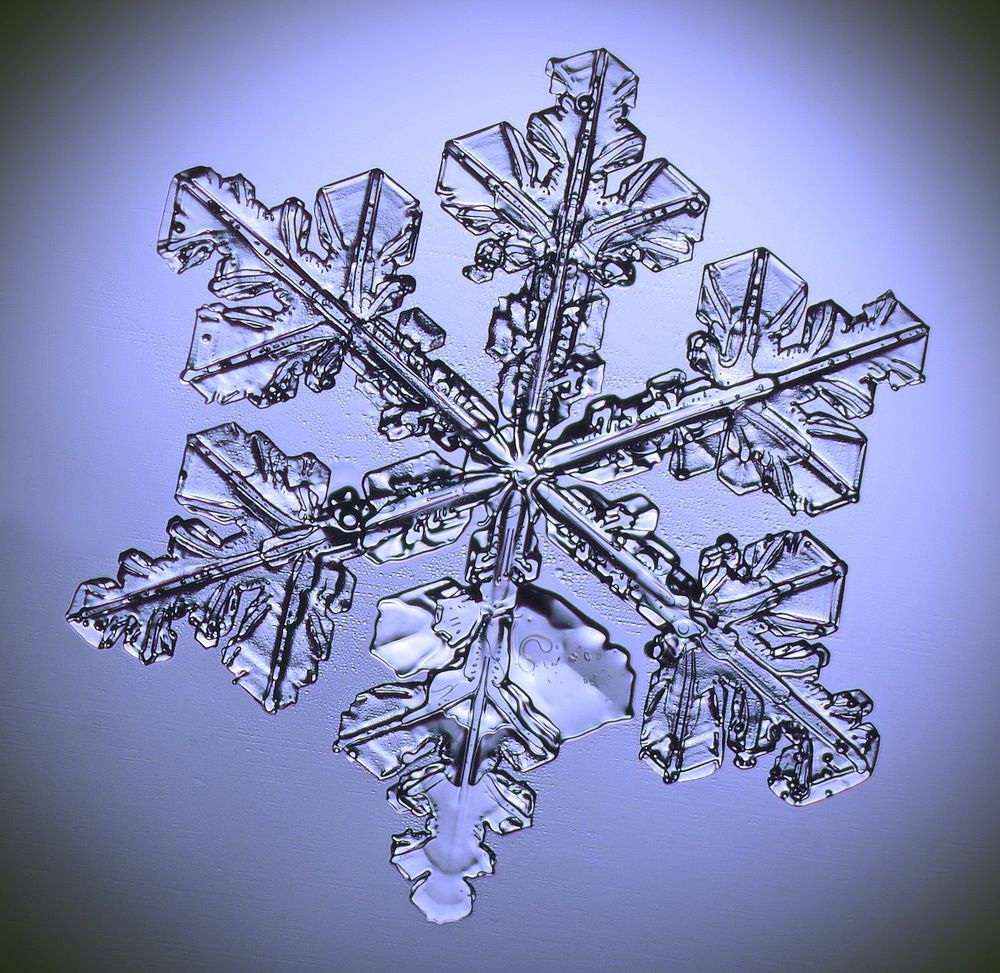 Снежинка  нового года.