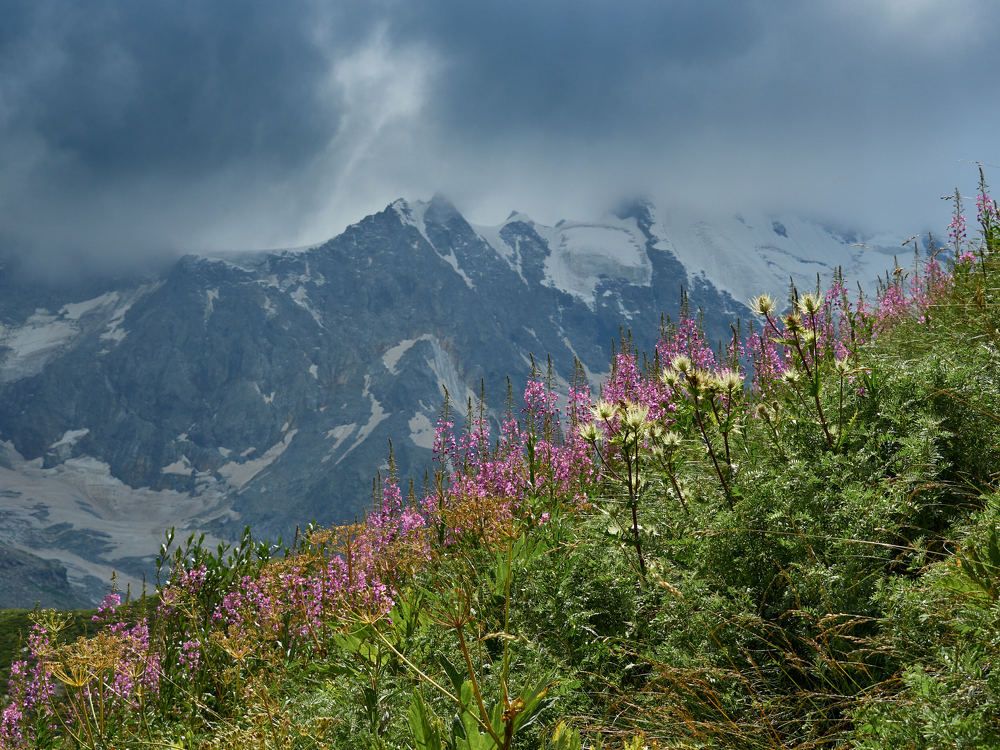 Photograph by Александр Авдушев