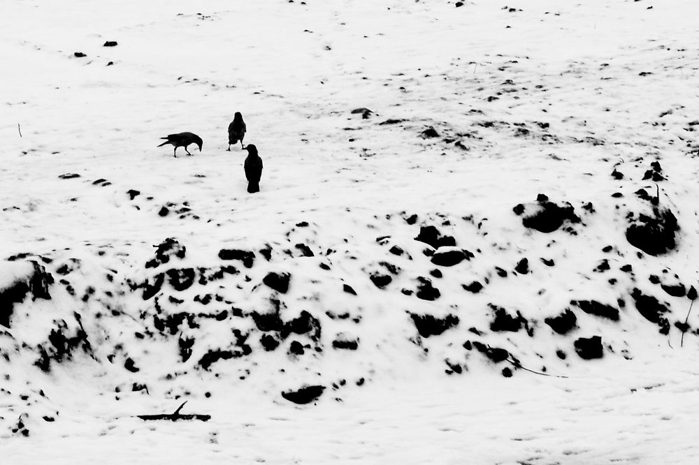 Photograph by Алеся Михайлова