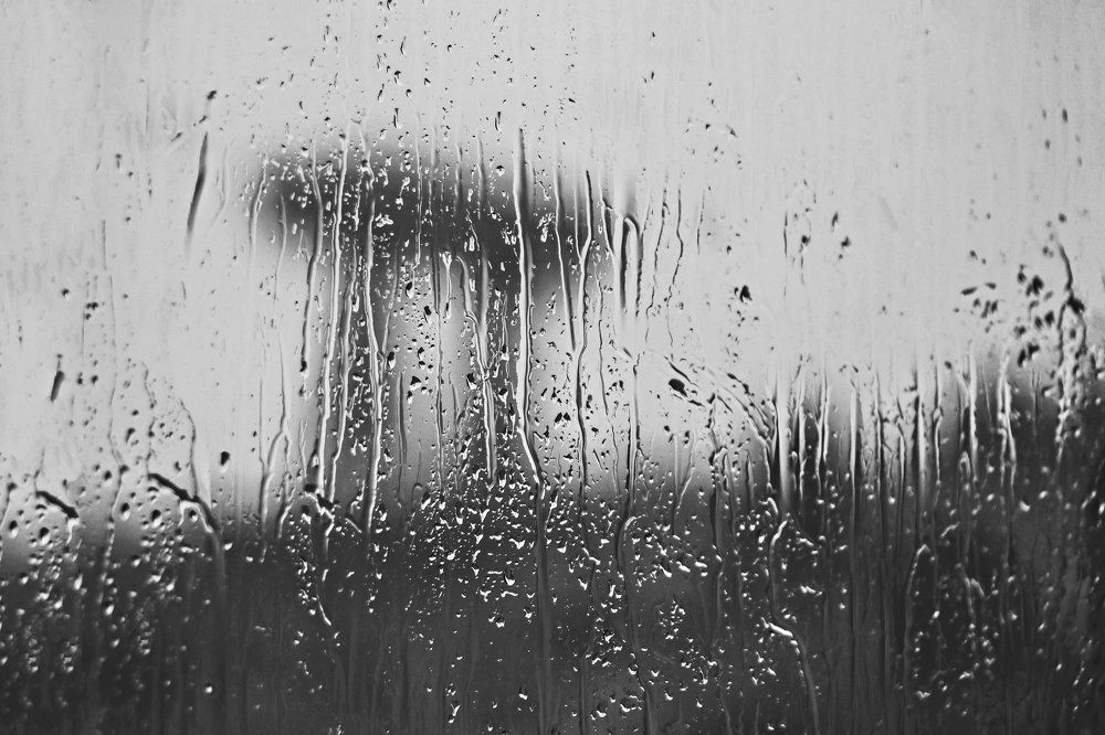 Photograph by Sunčica Andrejević