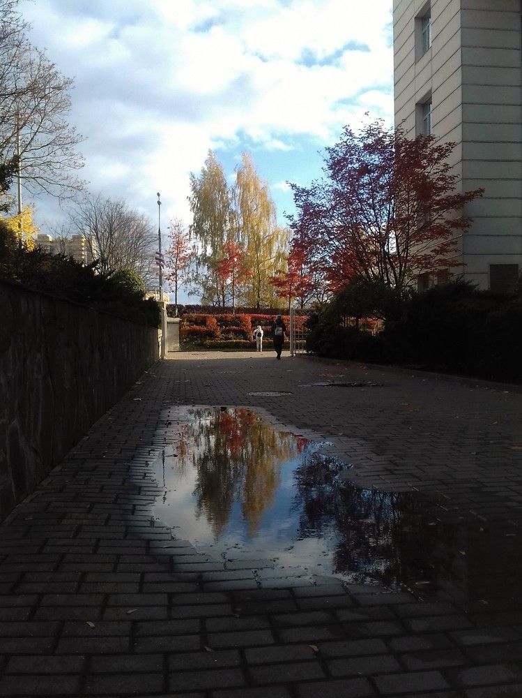 Фотография автора Владислава Андрюнина