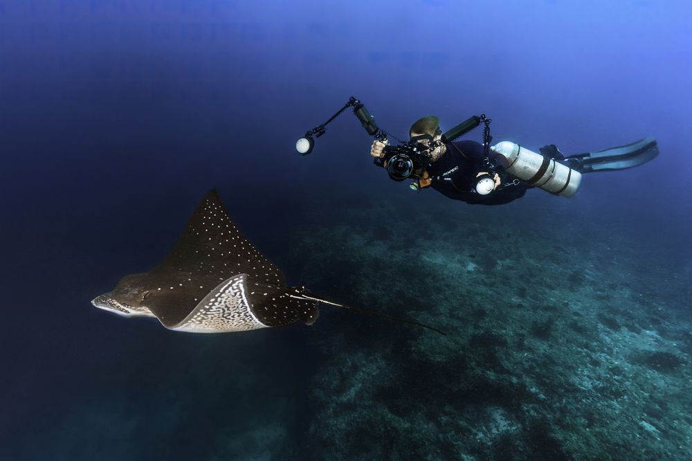 Photograph by Дмитрий Серебряков