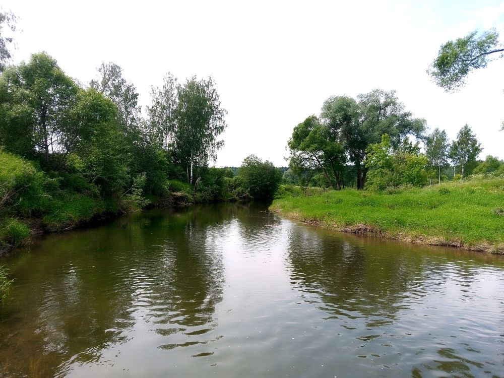 Истра. Недалеко от Ново-Иерусалимского монастыря