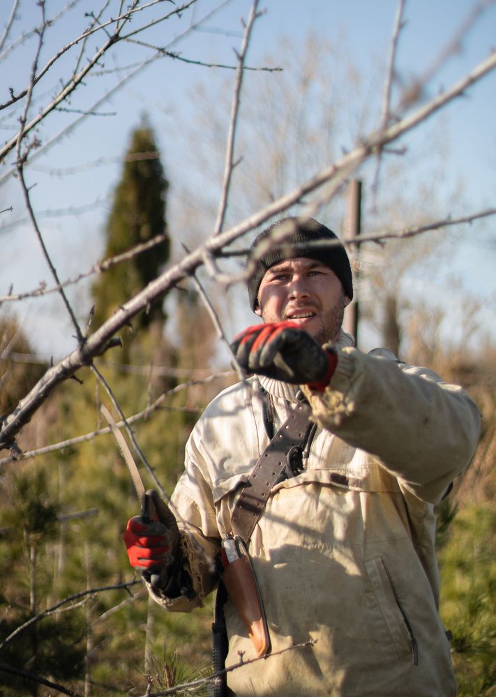 Photograph by Оксана Куриленко