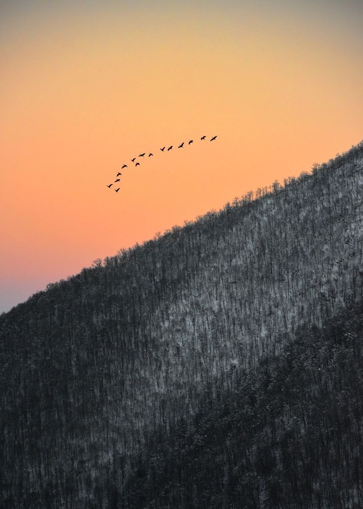 Photograph by Pourya Farajpour