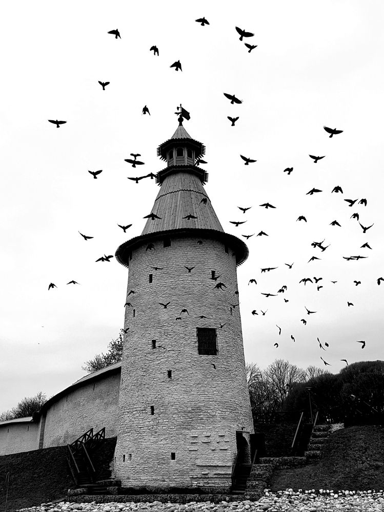 Photo #7250534
