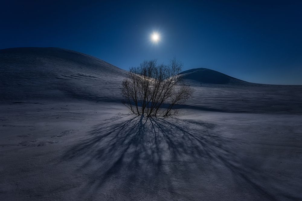 Photograph by Евгений Антонов