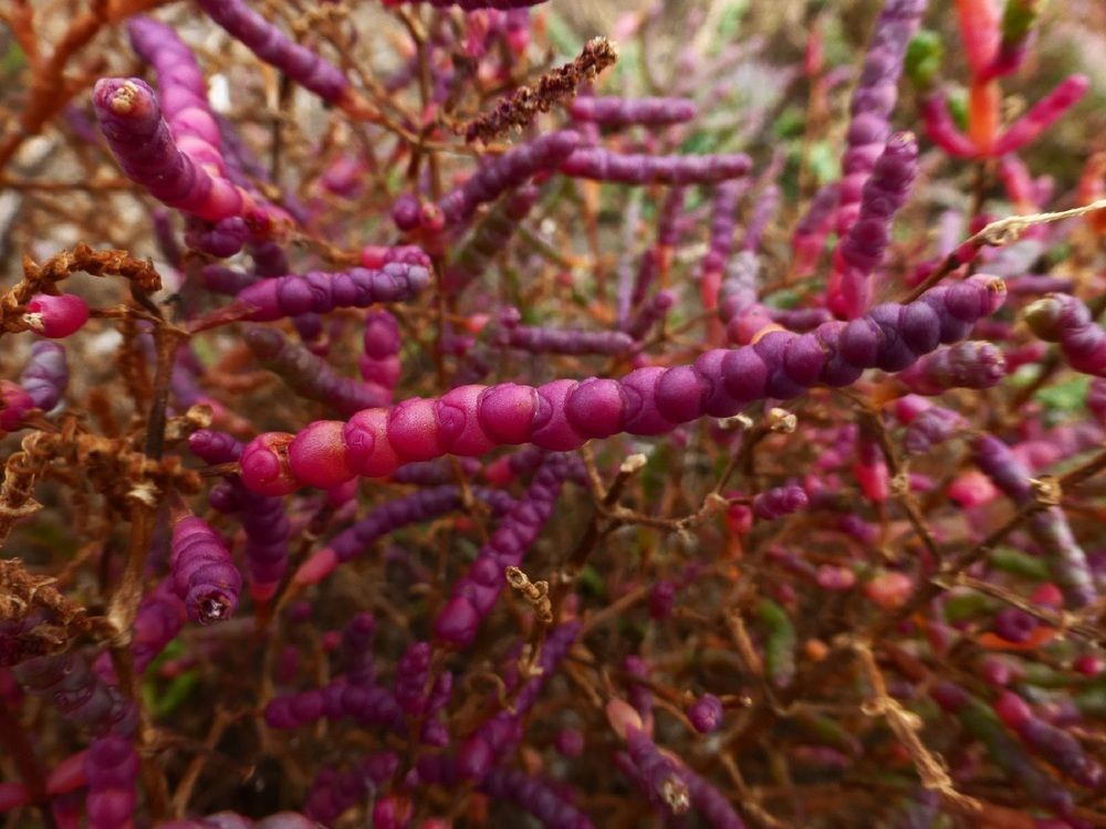 Photograph by Денис Веску