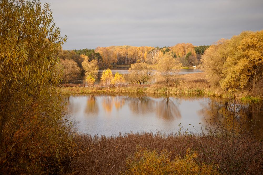 Золотая осень в Серебряном бору