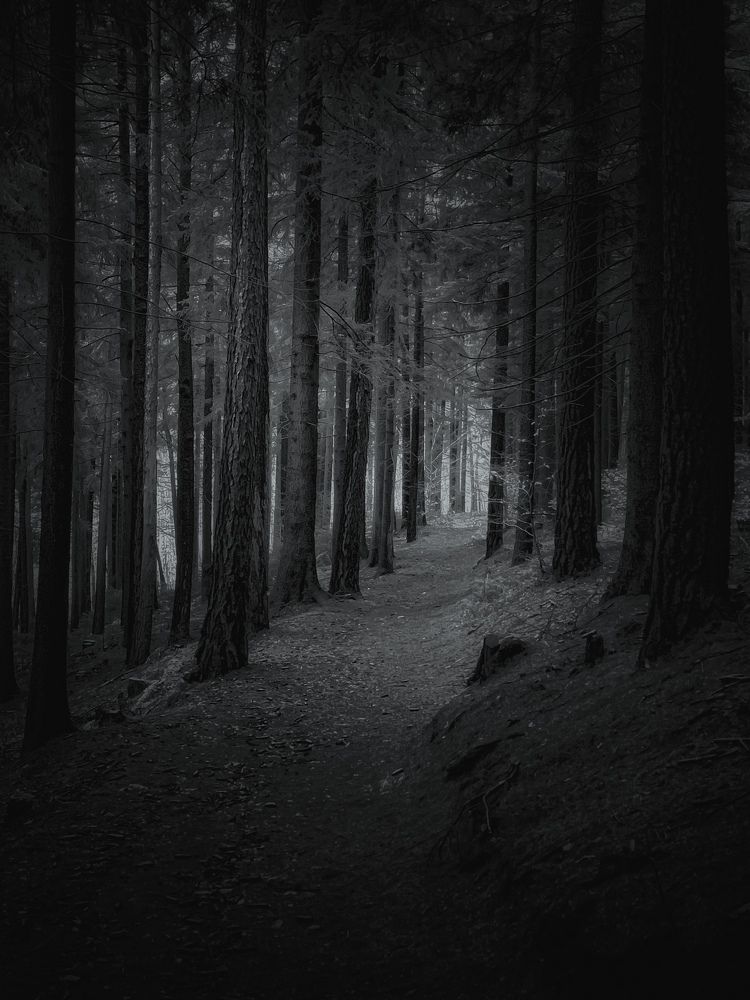 Photograph by Malgorzata Lemiec