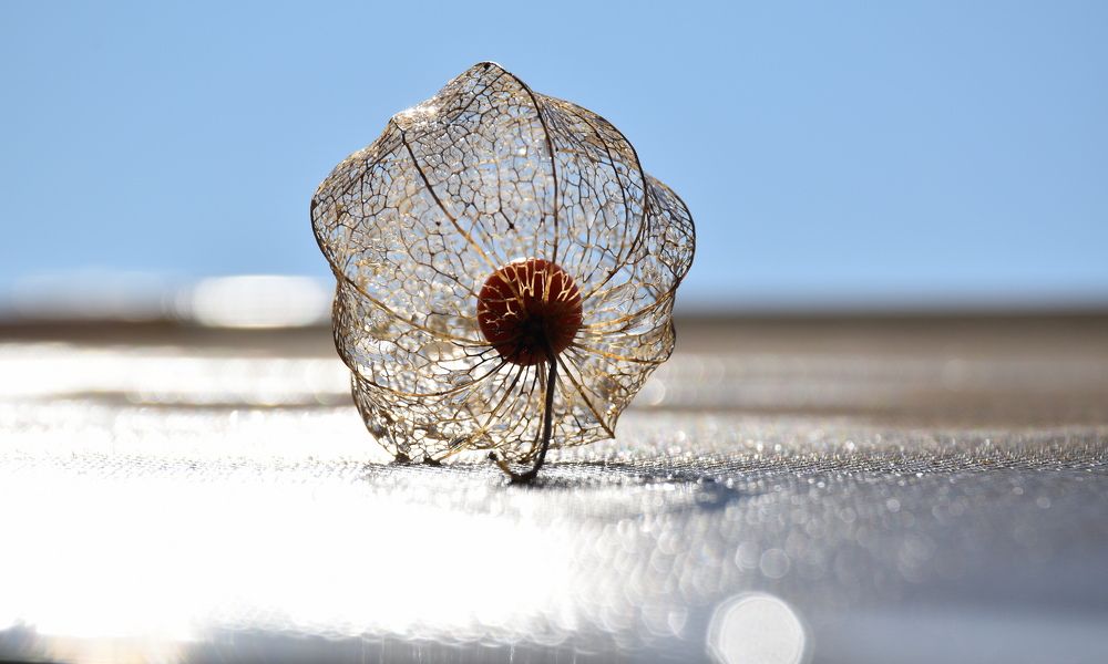 Photograph by Наталия Полякова