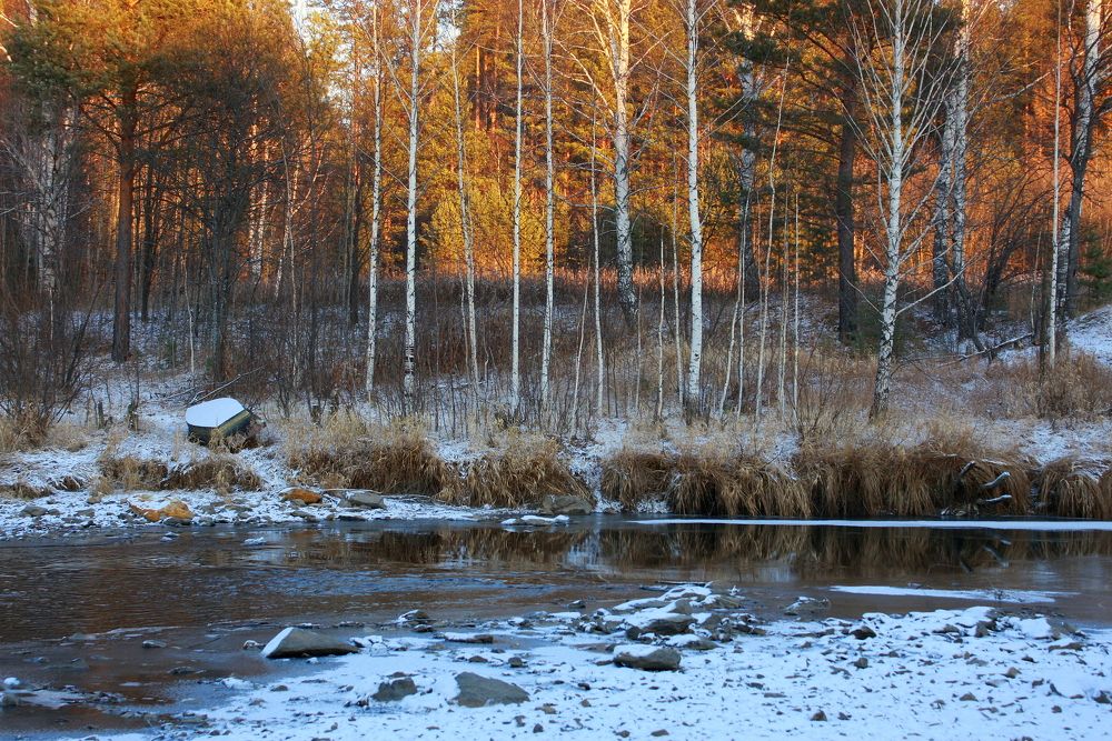Фотография автора Nelya  Lysenko