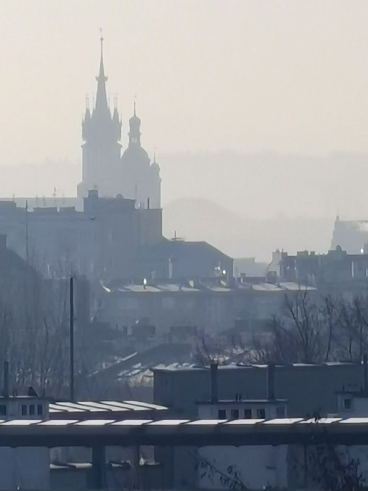 Photograph by Palina Mikhailouskaya