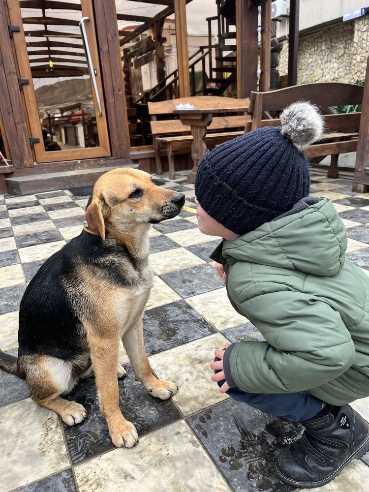 Photograph by Ольга Петухова