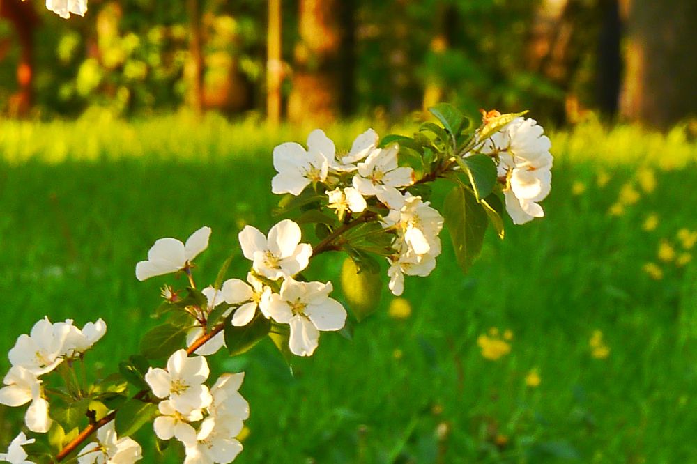 Photograph by Дмитрий Суровцев