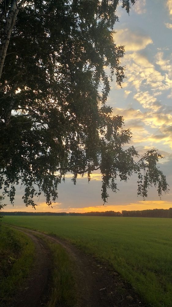 Photograph by Дэн