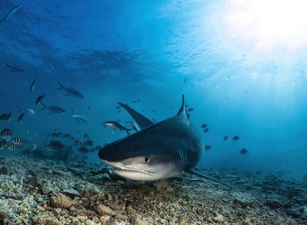 Photograph by Дмитрий Серебряков