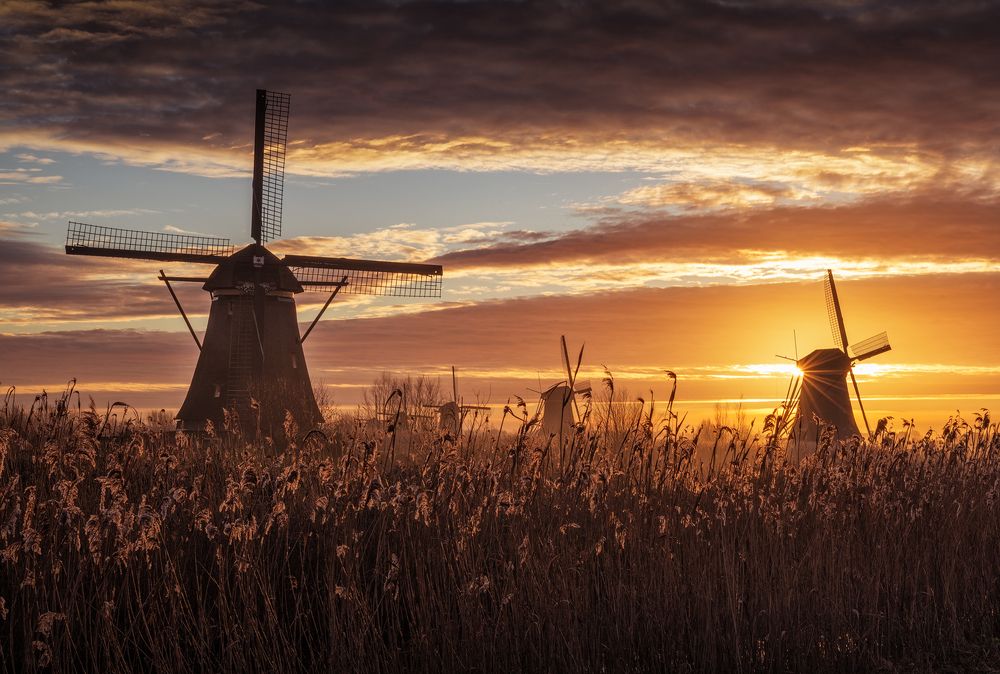 Photograph by Miguel Pascual mejias