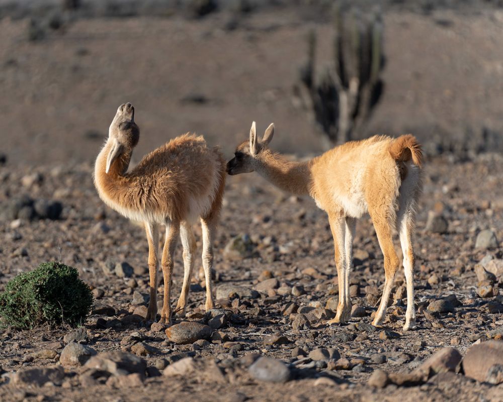 Photograph by Cifuentes Alejandro