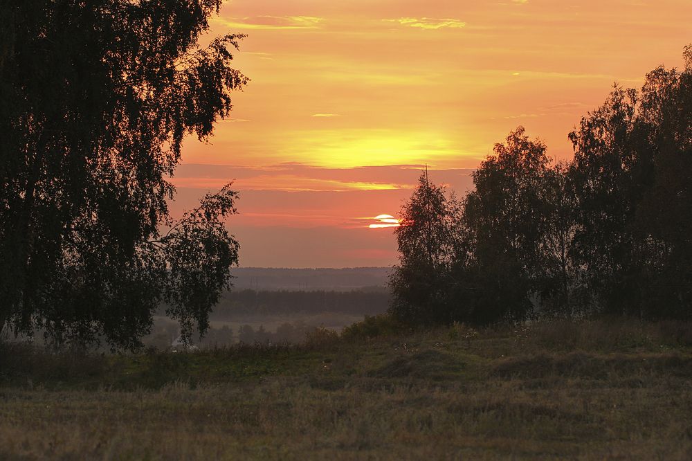 Photograph by Алена Полетаева
