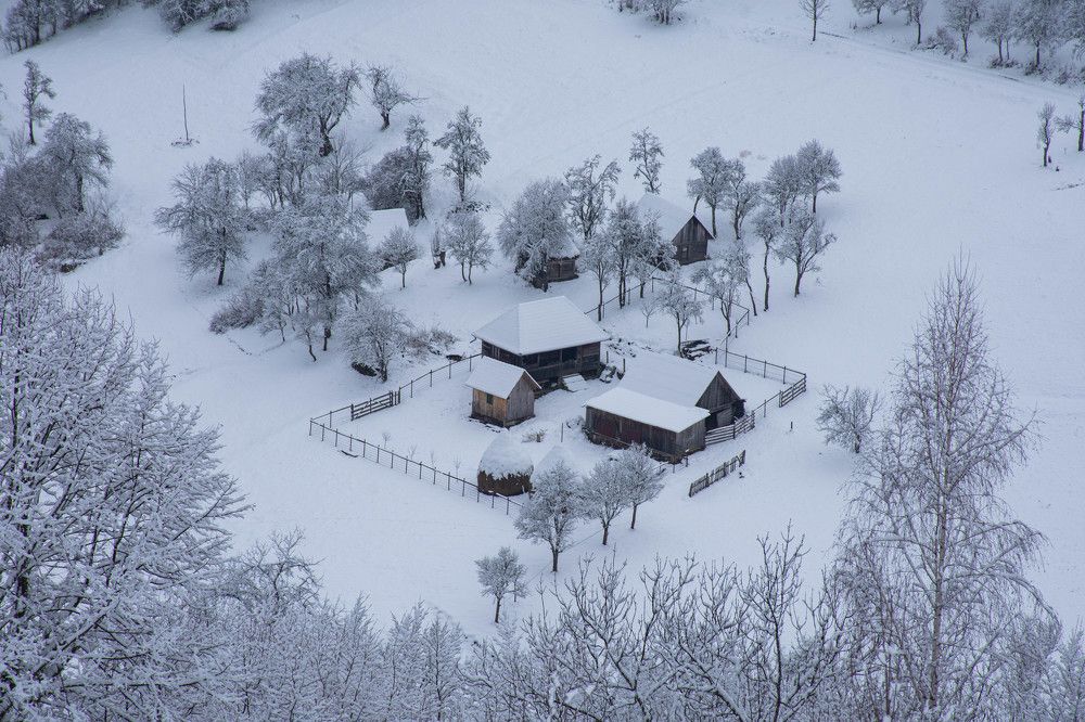 Photograph by Plesa Ioan Dan