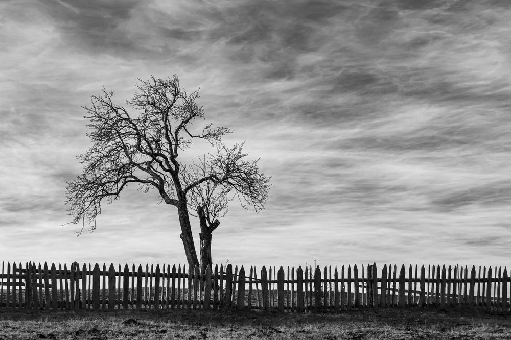 Photograph by  Camelia