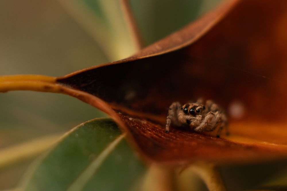 Photograph by Виктория Кузнецова