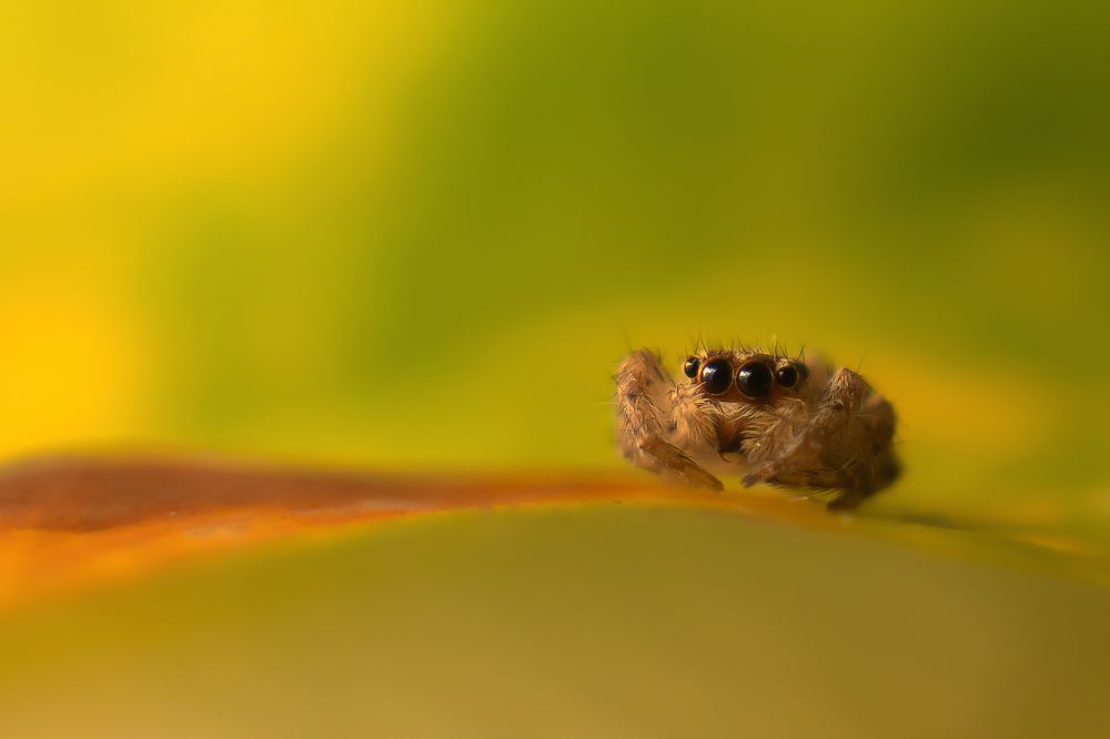 Photograph by Виктория Кузнецова