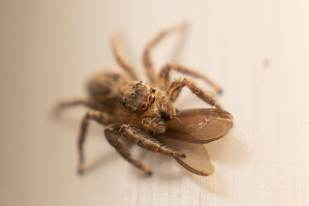 Photograph by Виктория Кузнецова