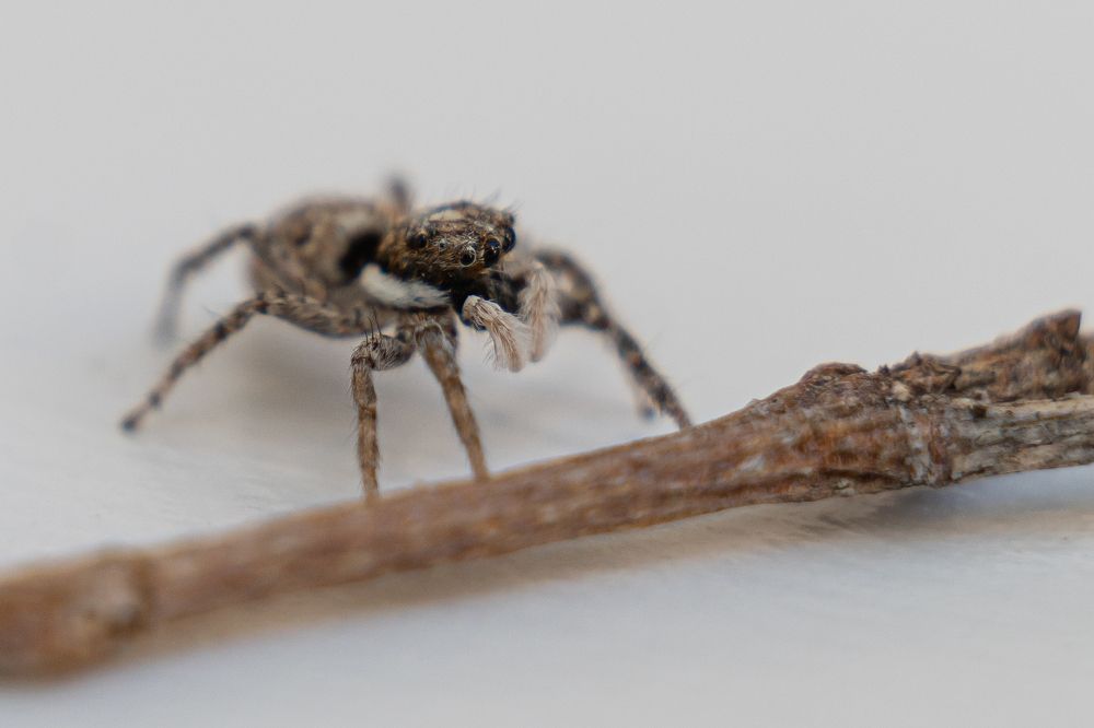 Photograph by Виктория Кузнецова