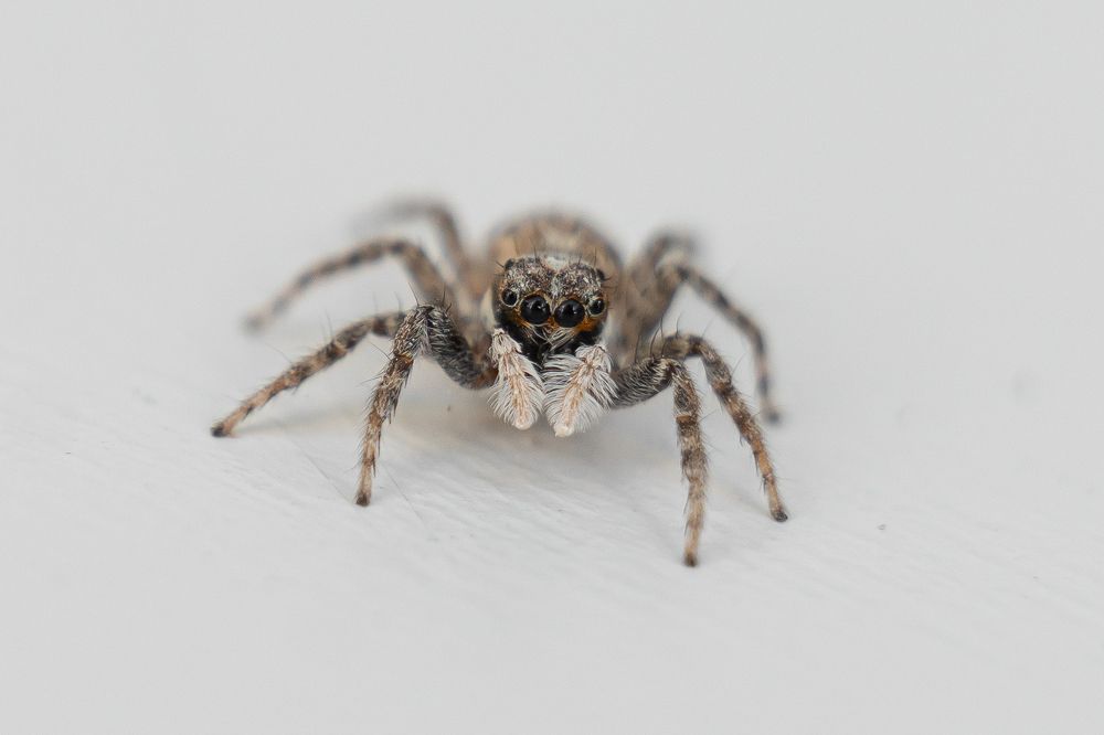 Photograph by Виктория Кузнецова