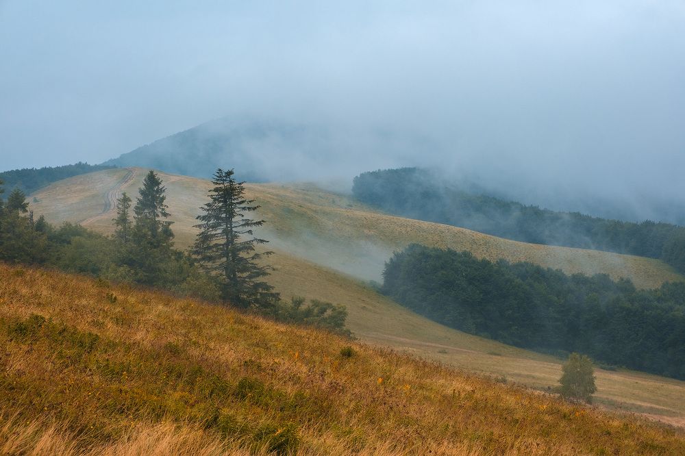 Фотография автора Stanislav Yendrek