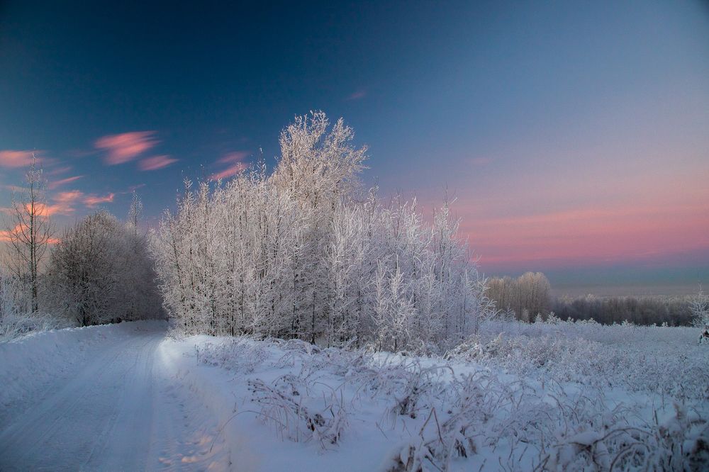 Фотография автора Панагушин Сергей