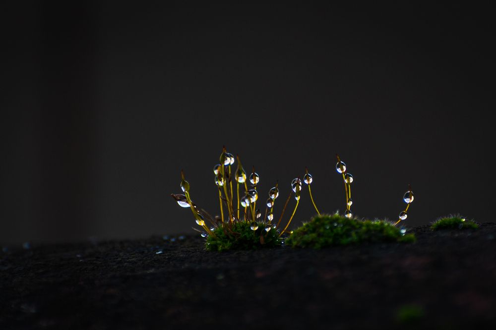 Photograph by Alexandra Kalasaridou