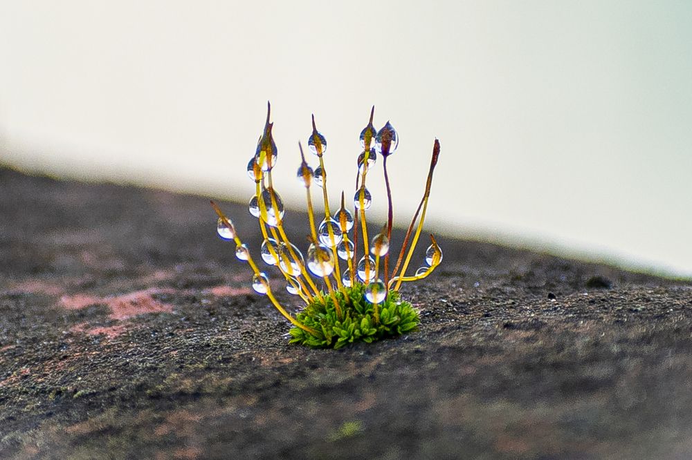 Photograph by Alexandra Kalasaridou