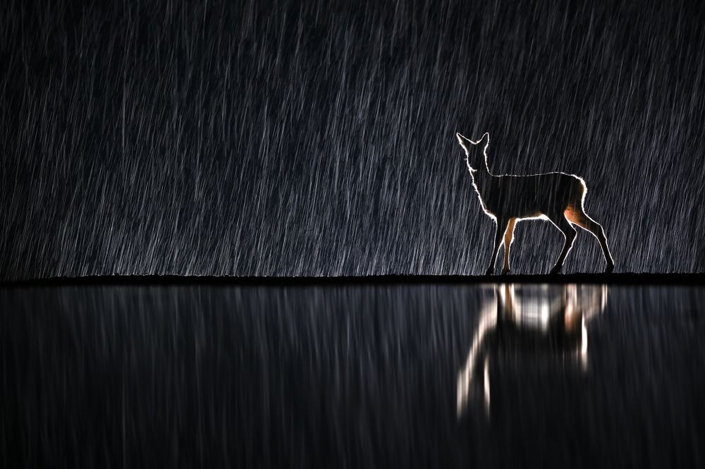 Hooray, it's snowing